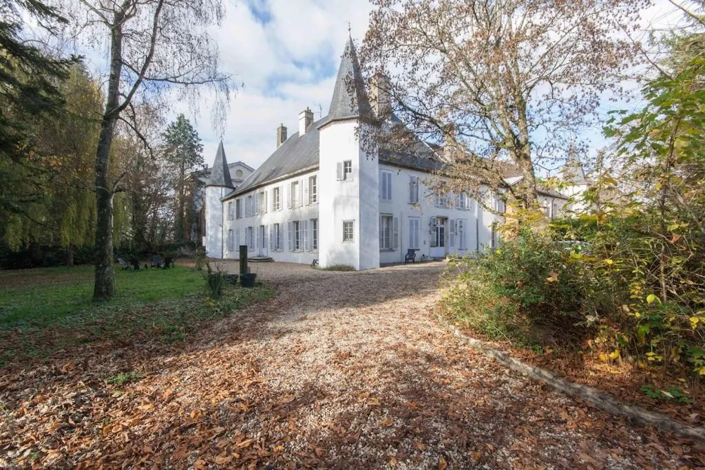Château de Seurre, château entier à Seurre