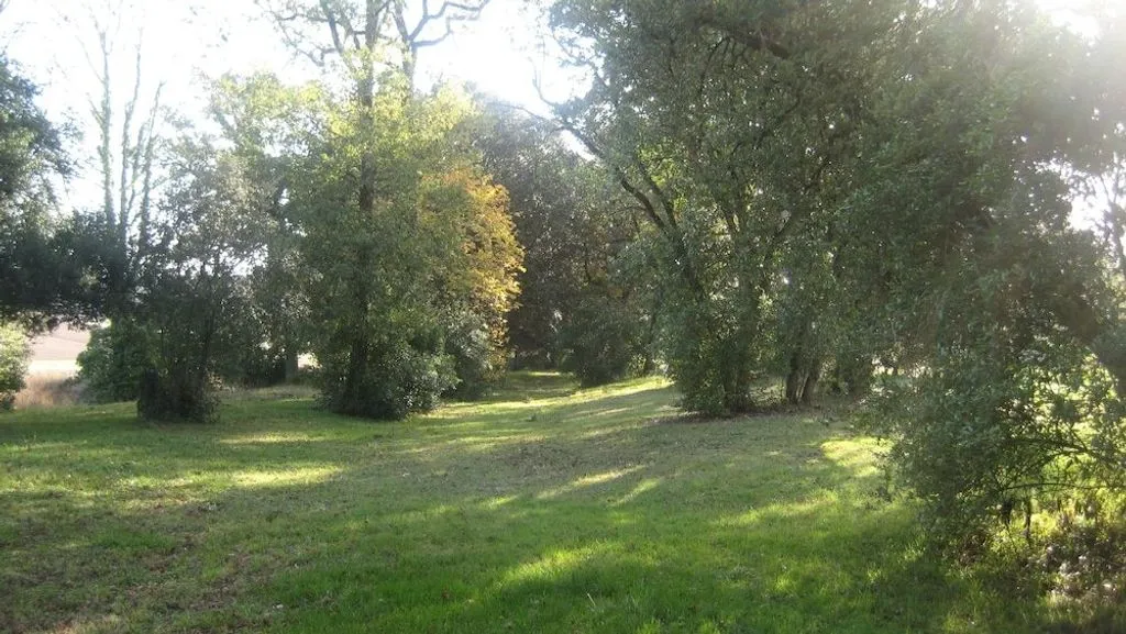 Château de Terrides à Labourgade, photo 4