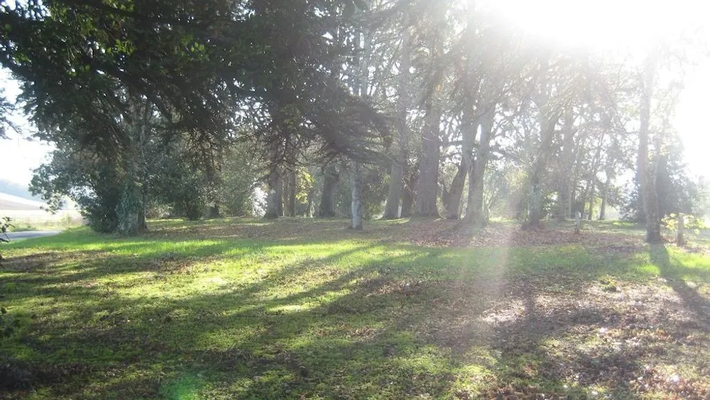 Château de Terrides à Labourgade, photo 5