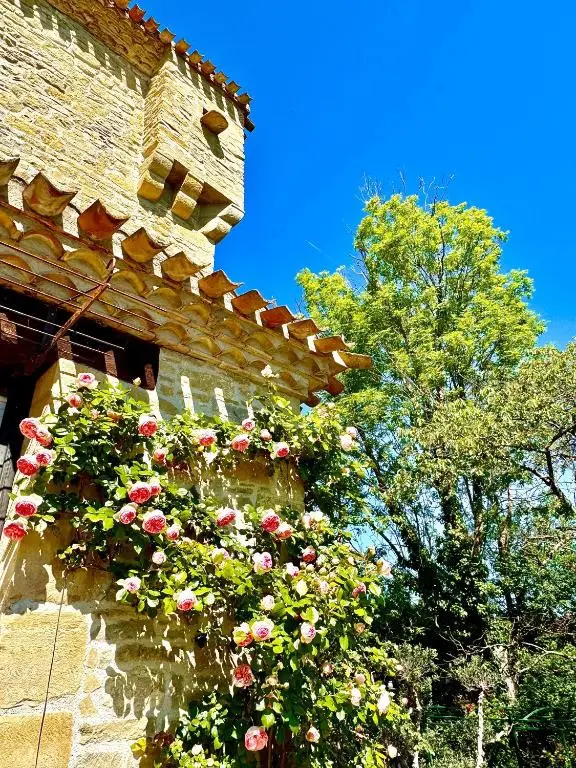 Château de Tournou à Castelreng, photo 4