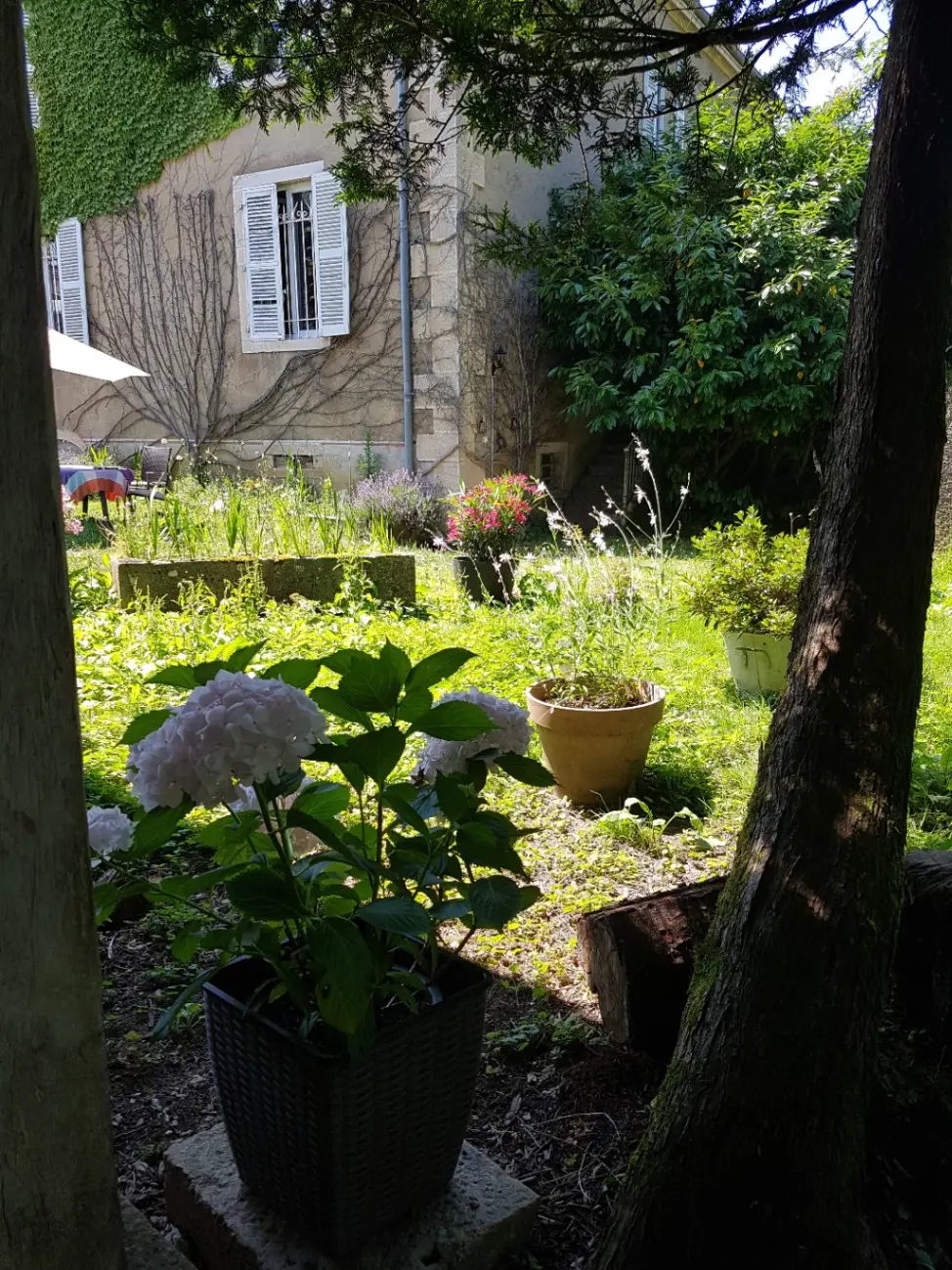 Le Château de Val-Sonnette à Val-Sonnette, photo 5