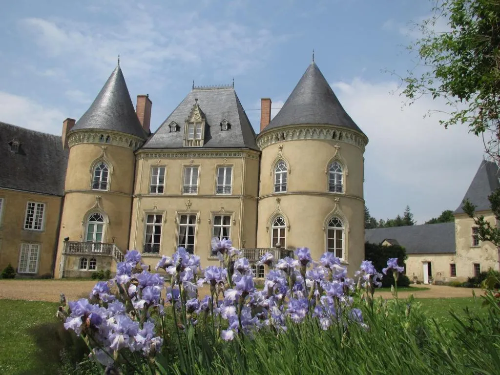 Château de Vaulogé à Fercé-sur-Sarthe, photo 5