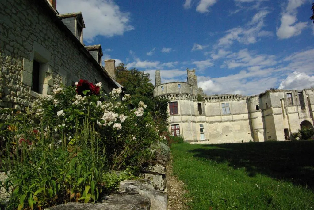 Château de Veuil, chambre ou suite de château à Veuil