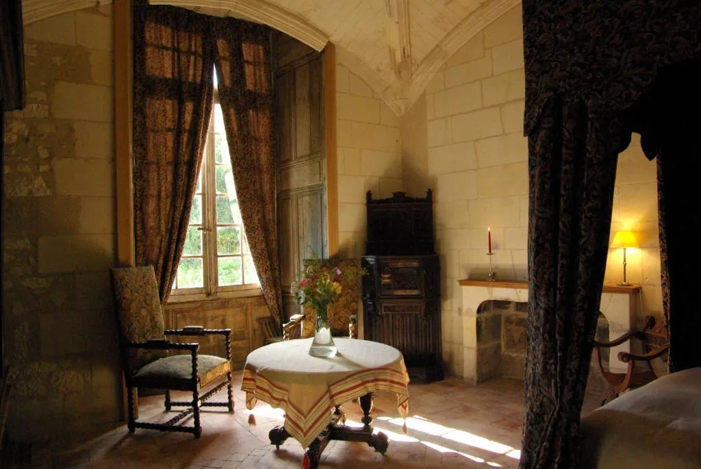 Château de Veuil à Veuil, photo 2