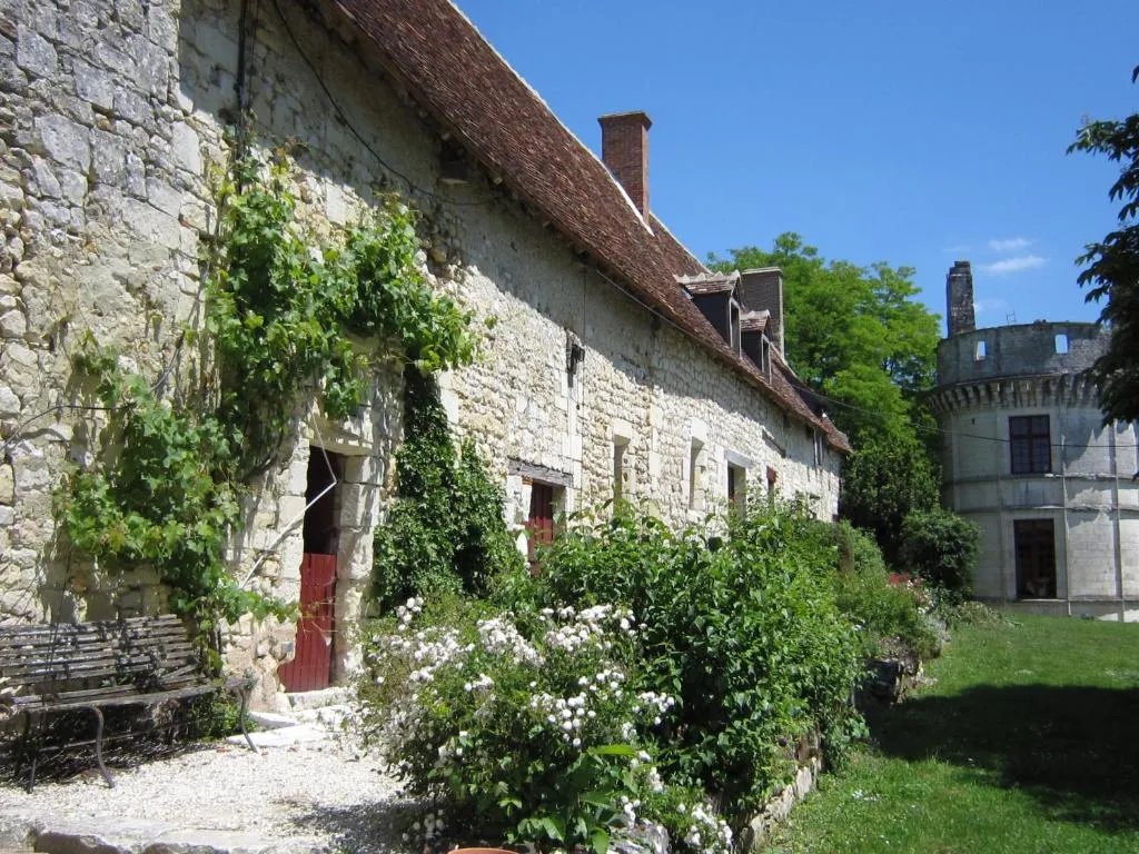 Château de Veuil à Veuil, photo 5