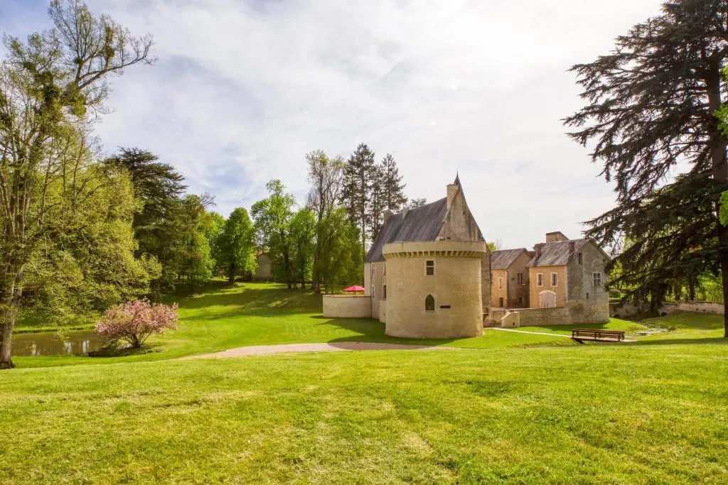 Château de Vieux Moulin à Vielmanay, photo 6