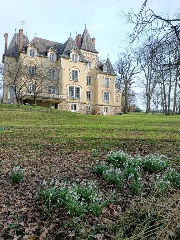 Château de Villechauvon, chambre ou suite de château à Vatan