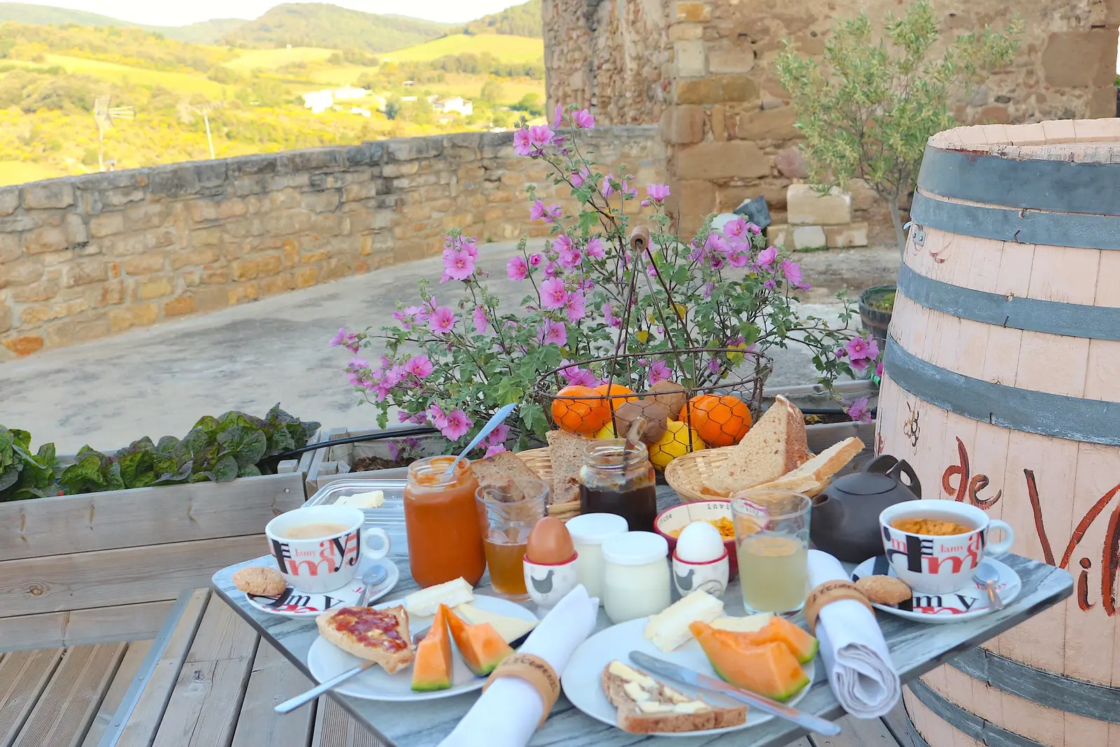 Château de Villelongue à Villelongue-d'Aude, photo 7