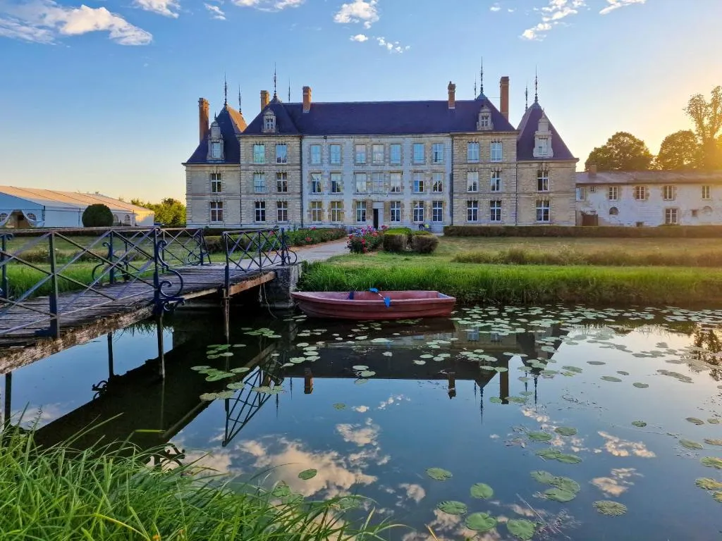 Château de Vitry-la-Ville, chambre ou suite de château à Vitry-la-Ville