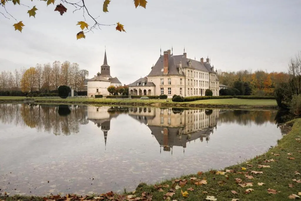 Château de Vitry-la-Ville à Vitry-la-Ville, photo 6