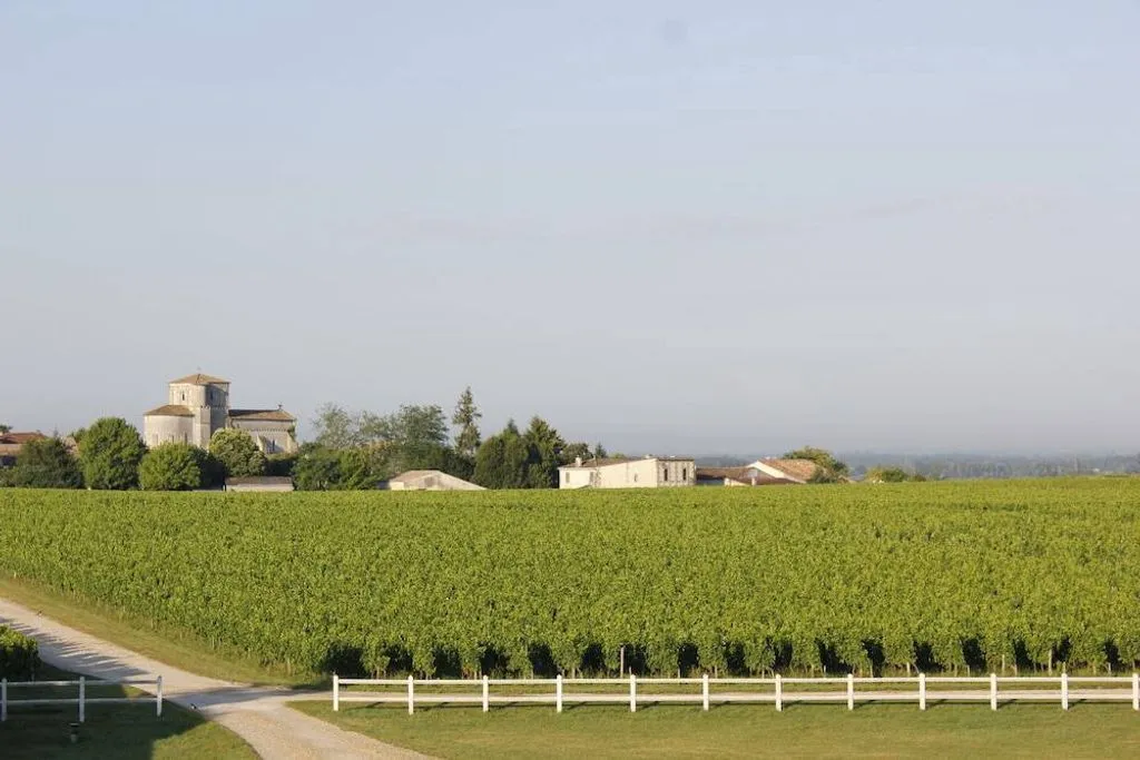 Château des Arras à Saint-Gervais, photo 4