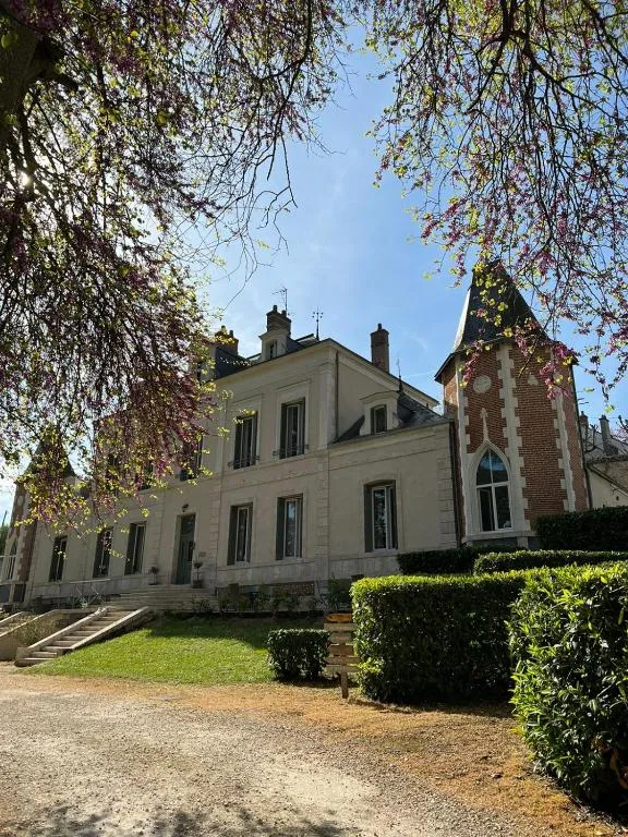 Château des Basses Roches à La Chaussée-Saint-Victor, photo 6