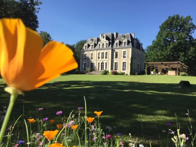 Château des Essards, château entier à Langeais