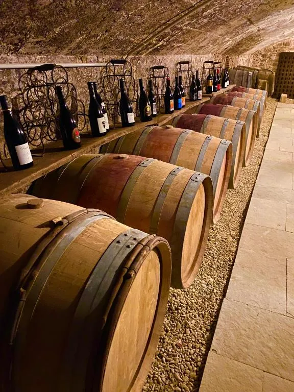 Château des Janroux à Juliénas, photo 7