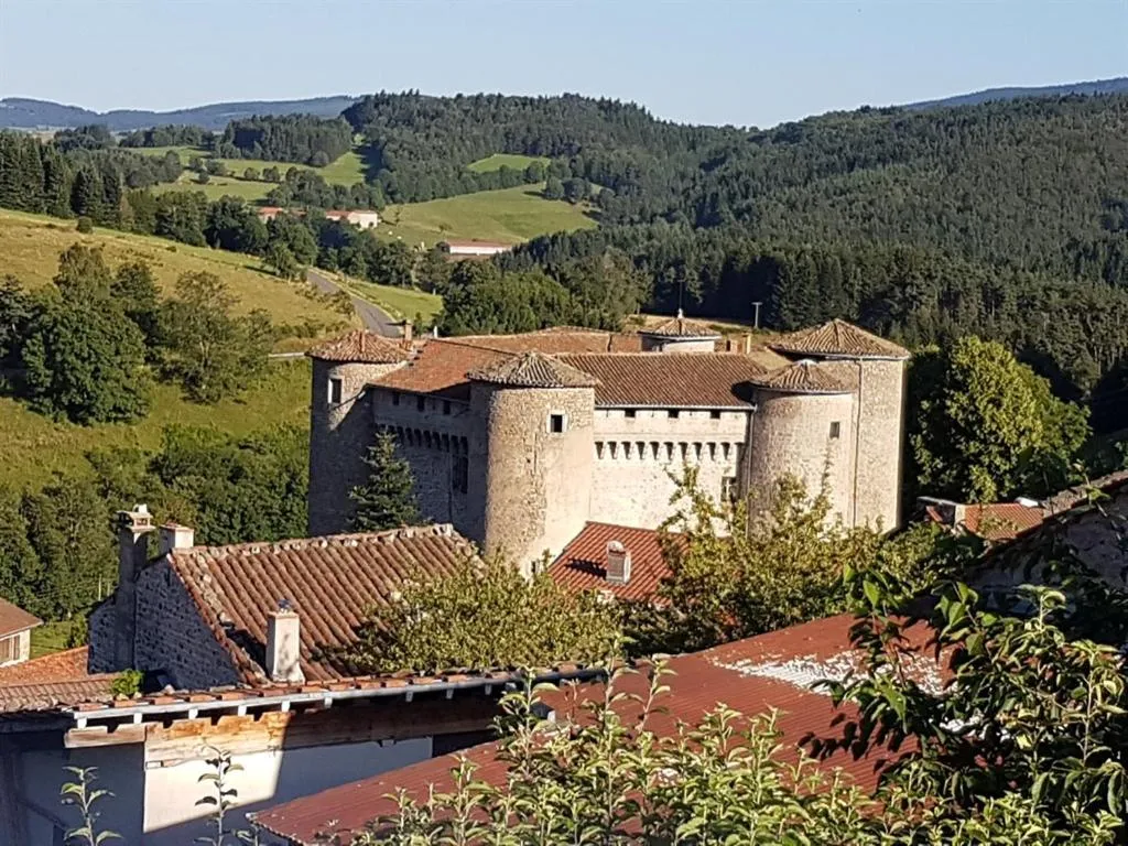 Château des Marcilly Talaru à Chalmazel-Jeansagnière, photo 5
