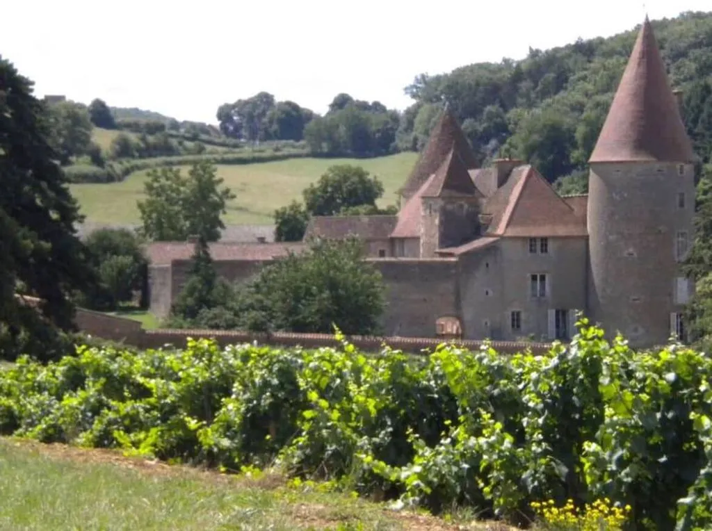 Château des Nobles, château viticole à La Chapelle-sous-Brancion