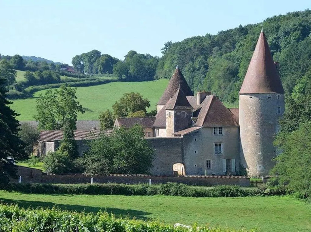 Château des Nobles à La Chapelle-sous-Brancion, photo 2