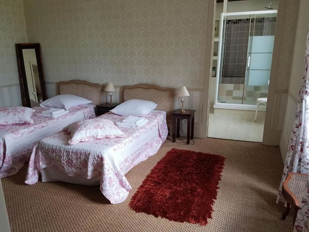 Château des Noces à Bazoges-en-Pareds, photo 5