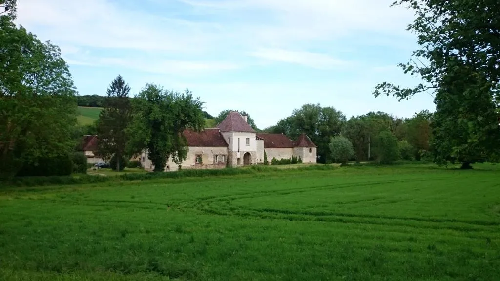 Château des Roises, chambre ou suite de château à Bucey-en-Othe