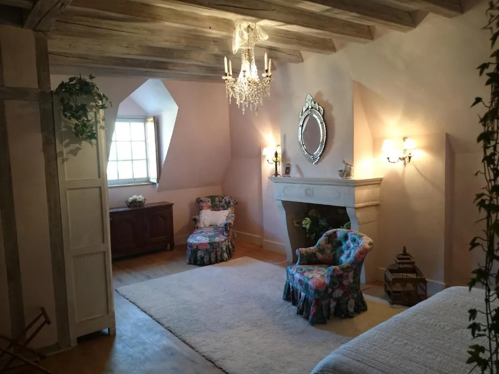Château des Roises à Bucey-en-Othe, photo 2