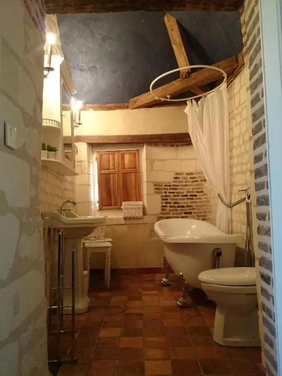 Château des Roises à Bucey-en-Othe, photo 7
