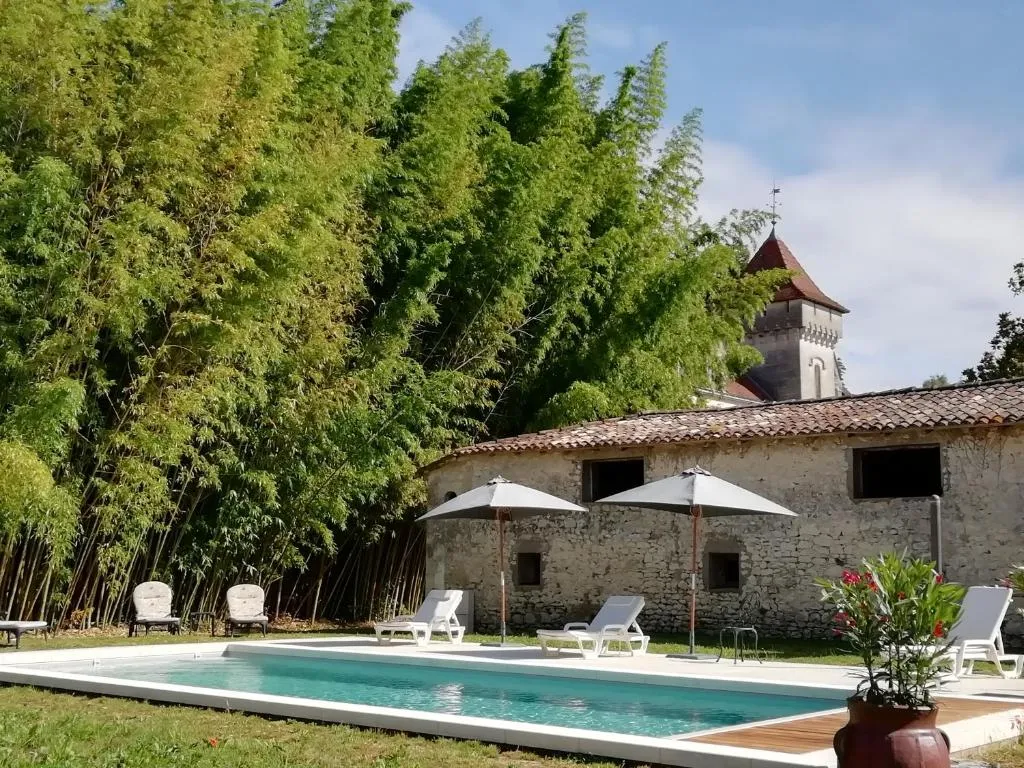 Château des Salles à Saint-Fort-sur-Gironde, photo 3