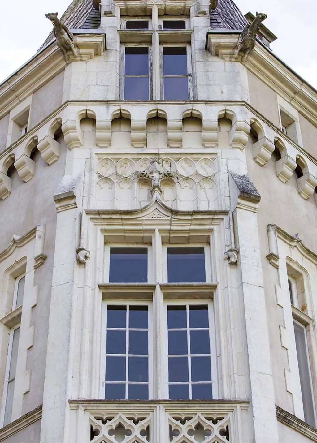 Château des Tesnières à Étrelles, photo 6
