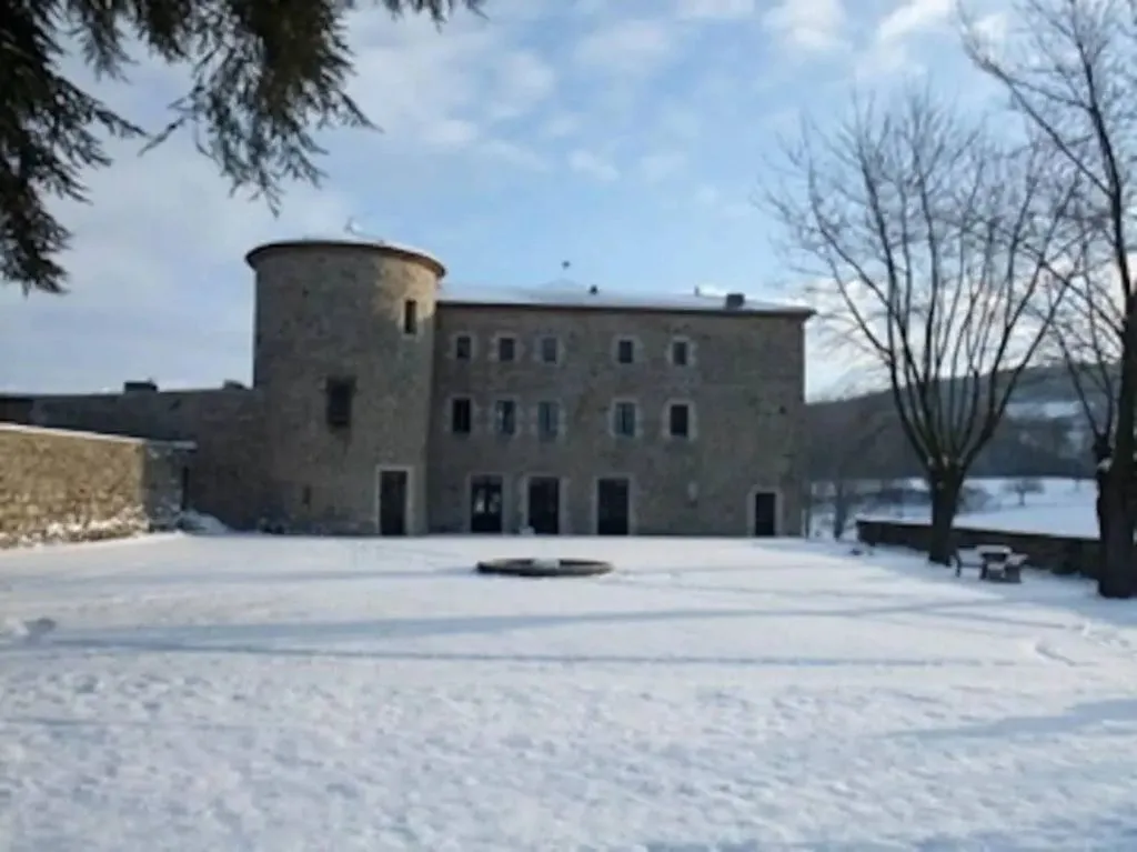 Château du Besset à Saint-Romain-de-Lerps, photo 2