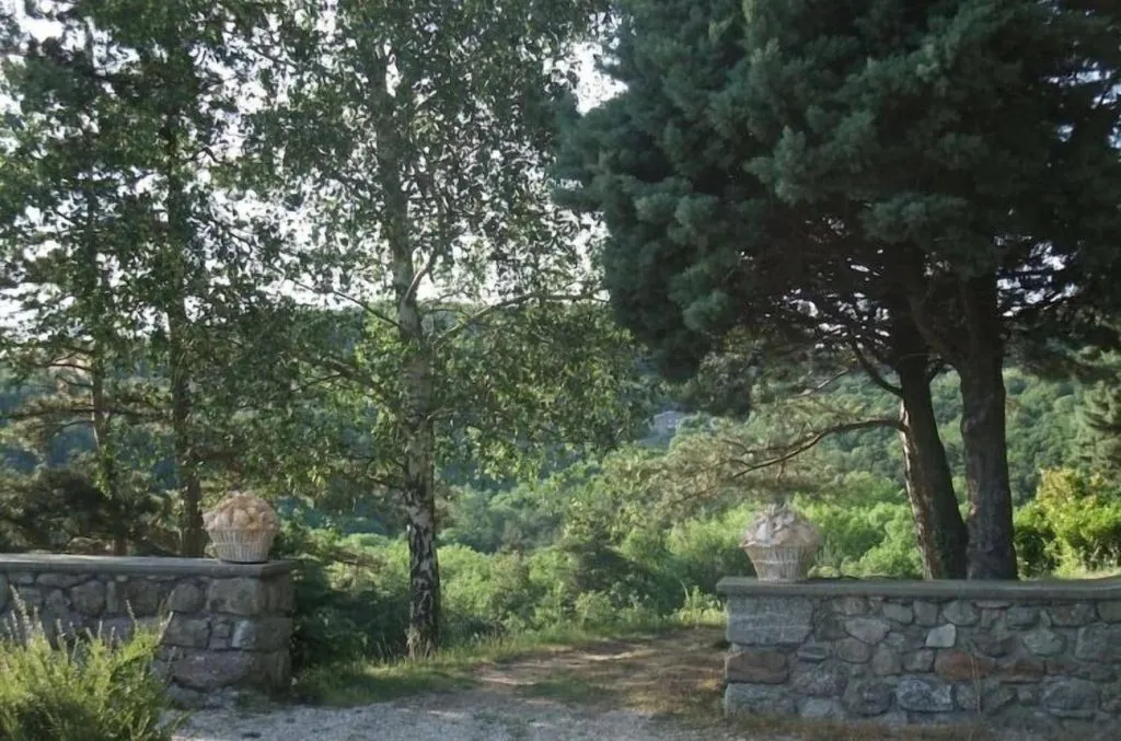 Château du Besset à Saint-Romain-de-Lerps, photo 7