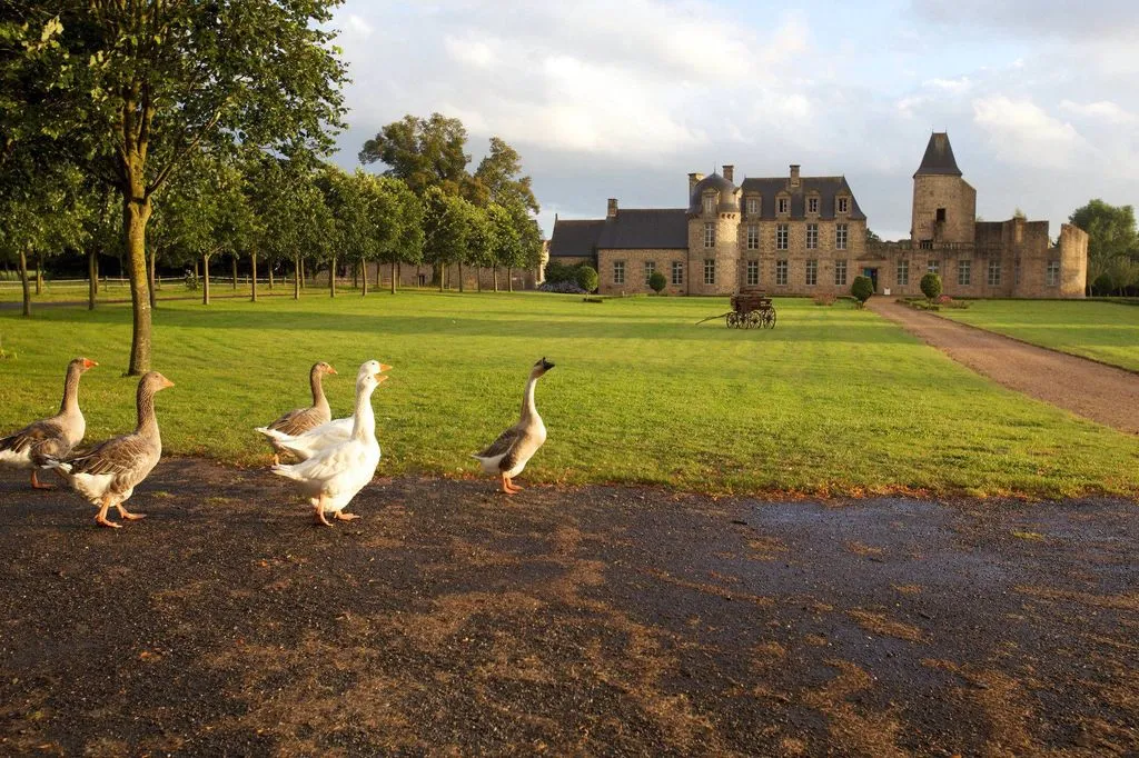 Château du Bois-Guy à Parigné, photo 5