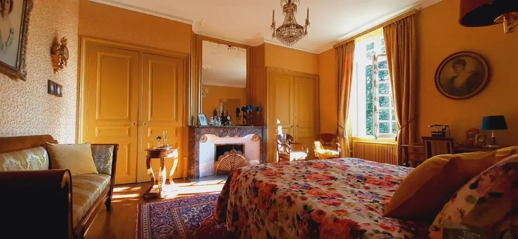 Château du Breuil à Mazières-de-Touraine, photo 2