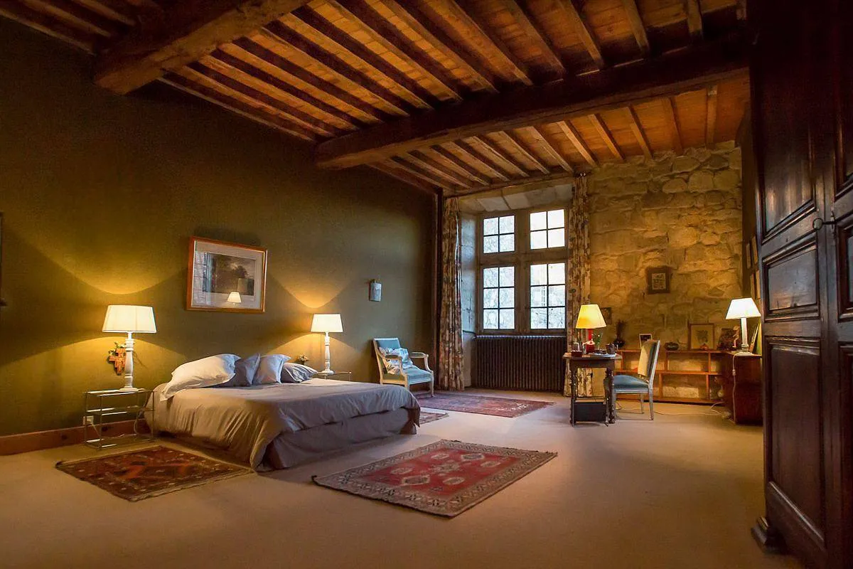 Château du Cèdre à Poudenas, photo 6