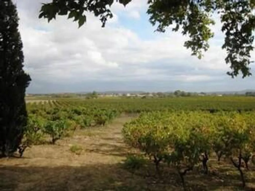Château du Comte à Saint-Nazaire-d'Aude, photo 5