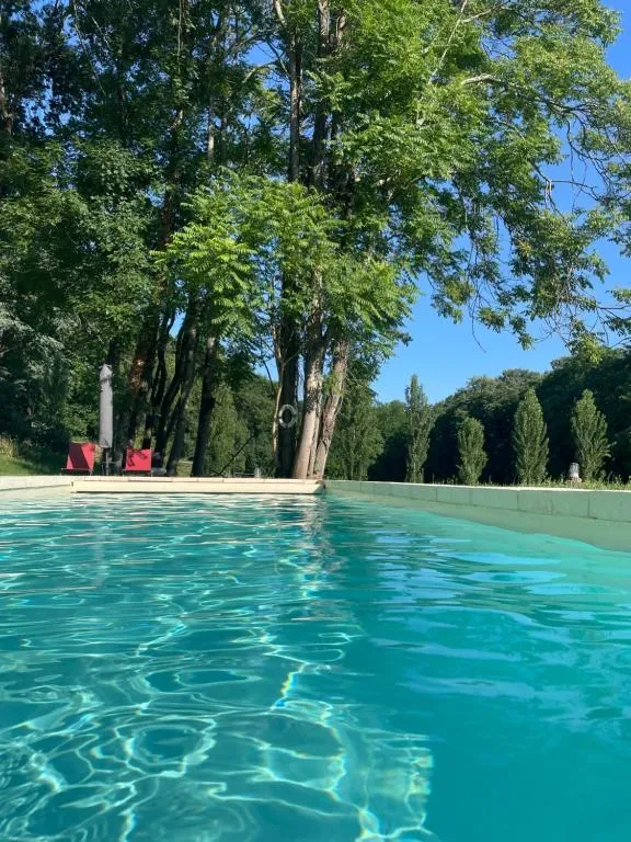 Château du Gô à Albi, photo 7