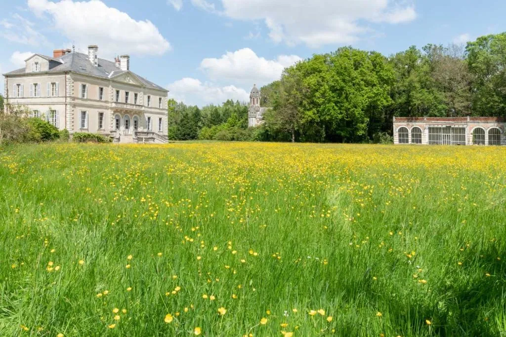 Château du Hallay à Montaigu-Vendée, photo 3