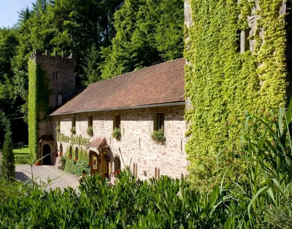 Château du Landsberg à Barr, photo 3