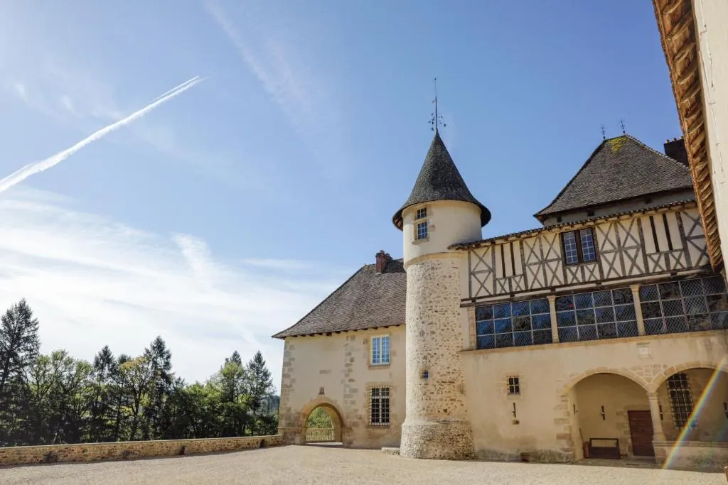 Château du Mas de l'Âge, chambre ou suite de château à Couzeix