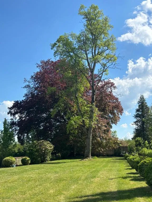 Château du Mesnil Soleil à Damblainville, photo 4