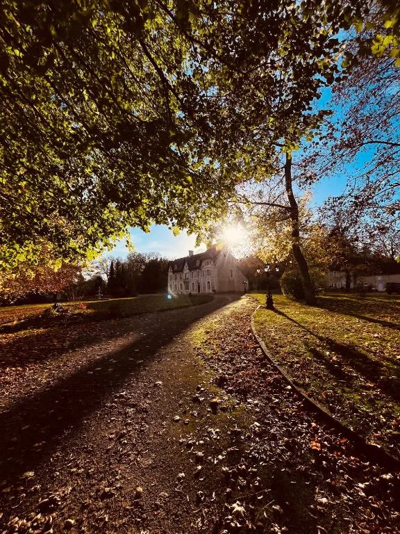 Château du Mesnil Soleil à Damblainville, photo 5