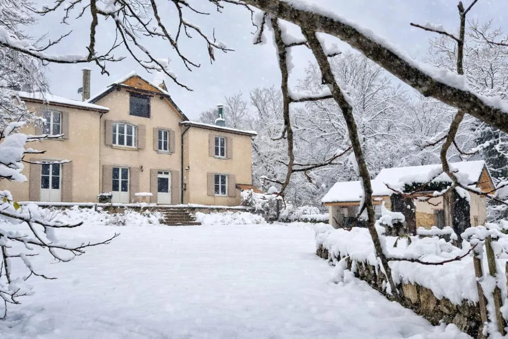 Château du Mont Camille à Châtelneuf, photo 5