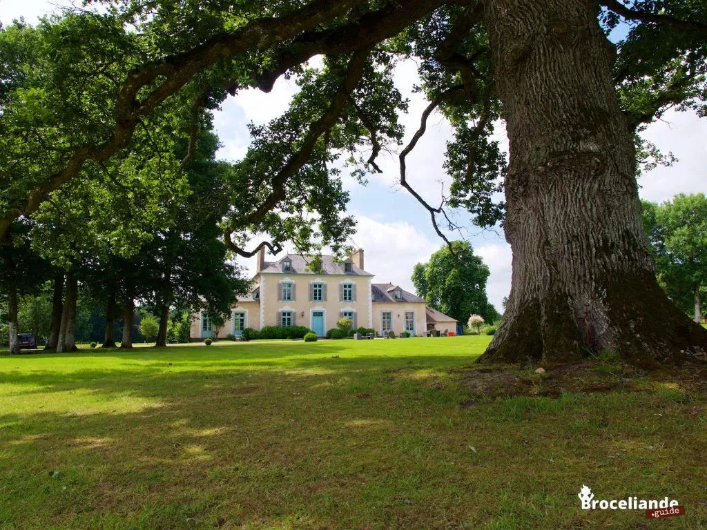 Château du Pin, chambre ou suite de château à Iffendic