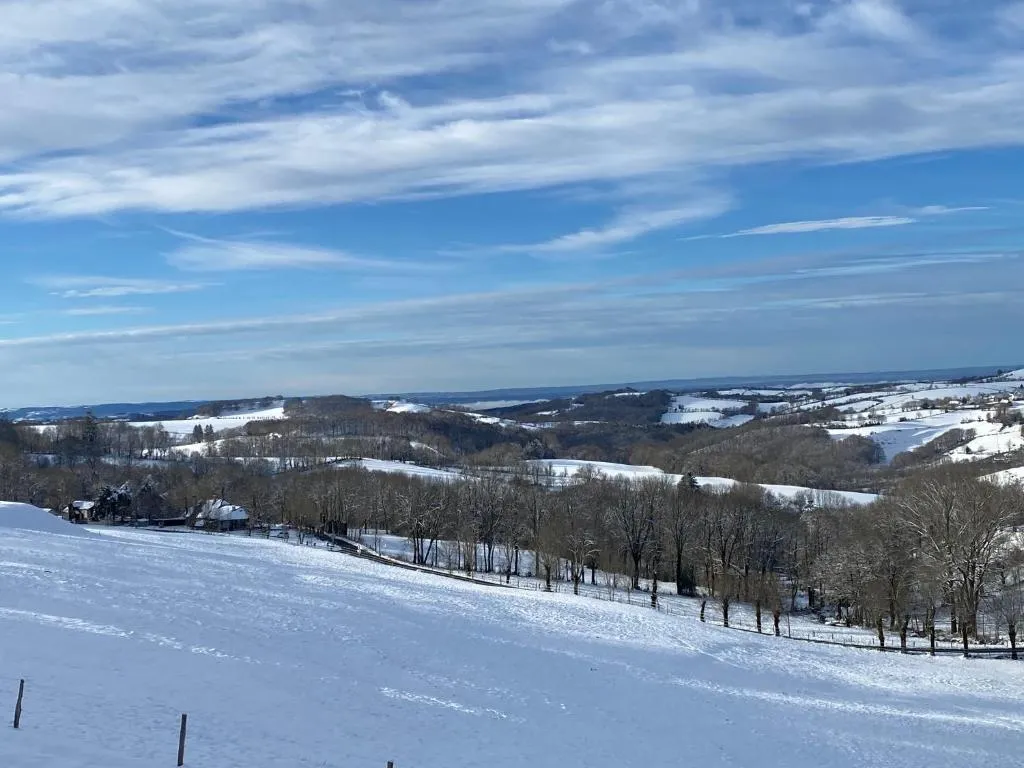Château du Puech en Aubrac à Curières, photo 5