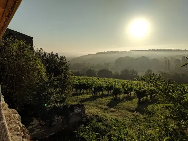 Château Feely à Saussignac, photo 5