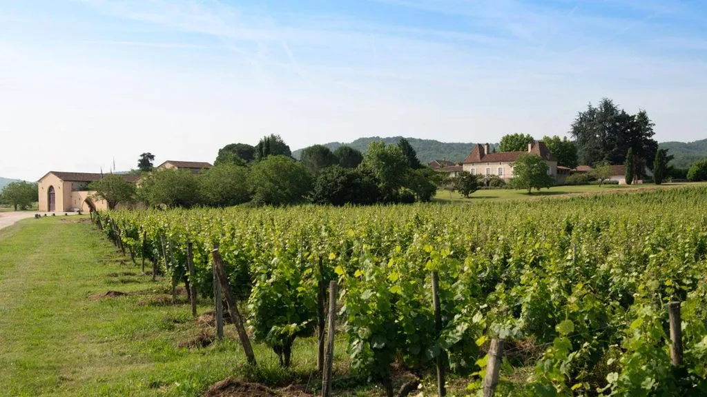Château Gautoul à Puy-l'Évêque, photo 3