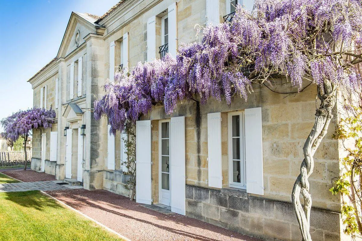 Château Grand Cru à Saint-Émilion, photo 7