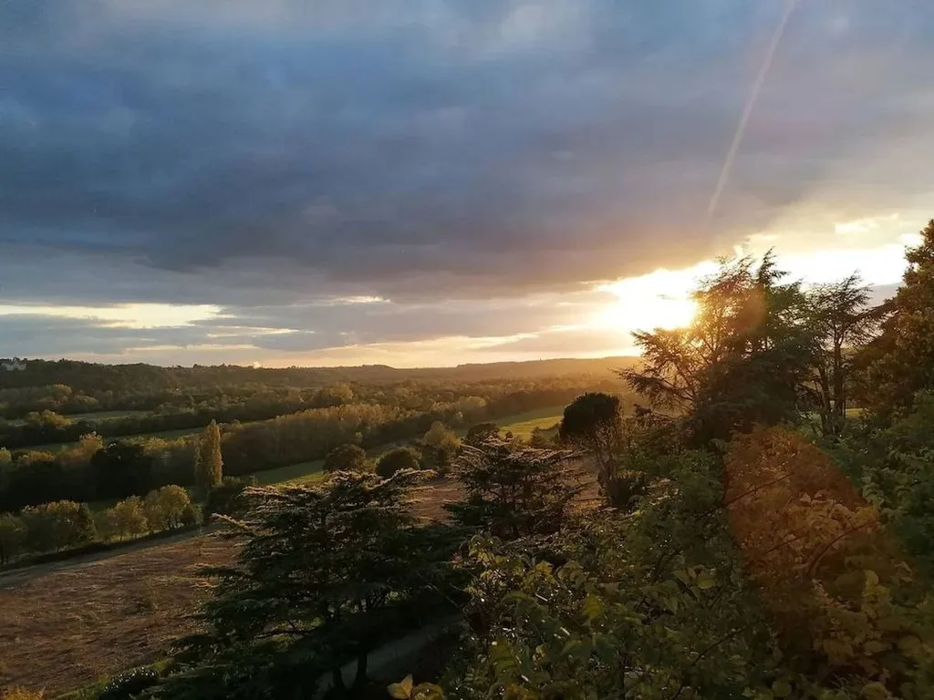 Château Haute Roche à Oudon, photo 3