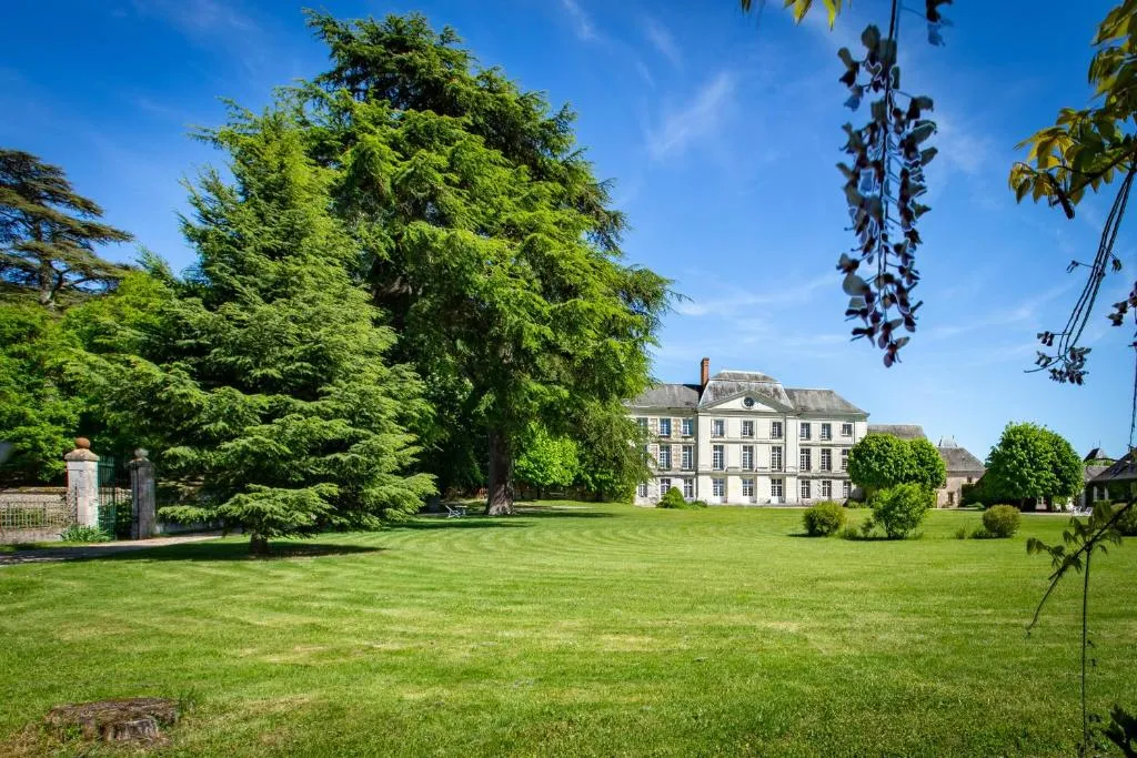 Château Laborde Saint Martin, chambre ou suite de château à Candé-sur-Beuvron