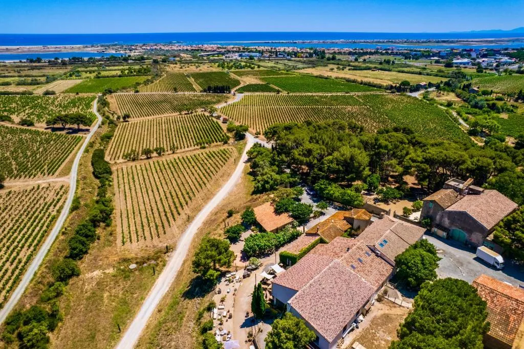 Château le Bouïs, château viticole à Gruissan