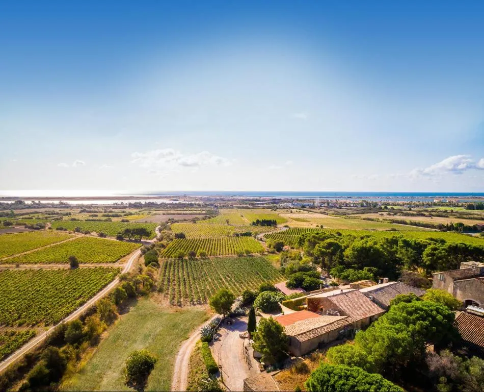 Château le Bouïs à Gruissan, photo 5