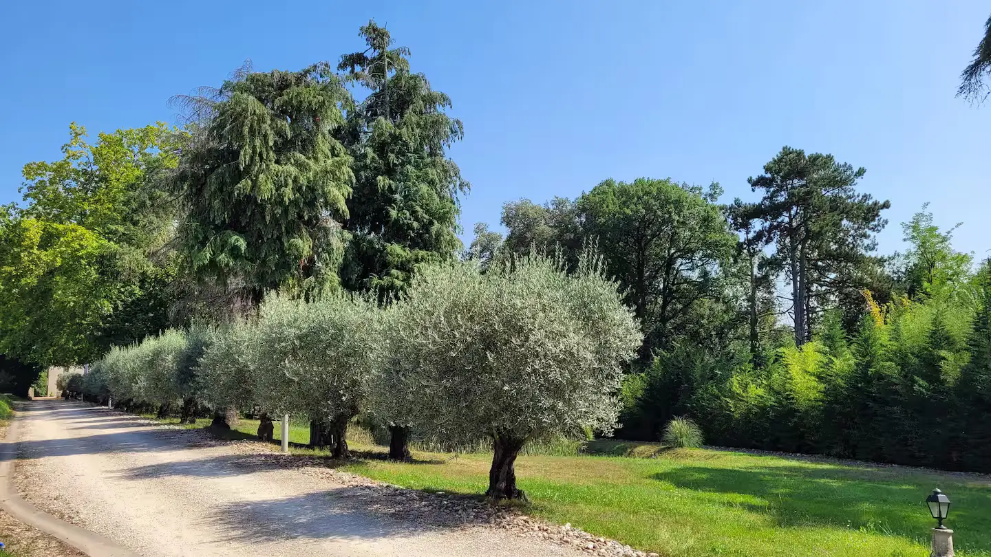 Château le Luc Regula à La Réole, photo 7